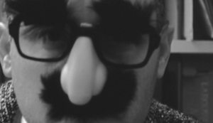 WHY WEAR A GROUCHO NOSE AND GLASSES?